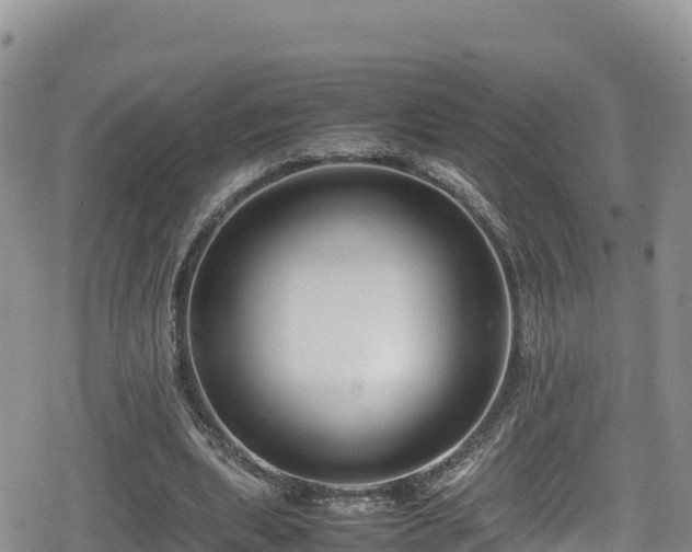 X0000080710439200612221147