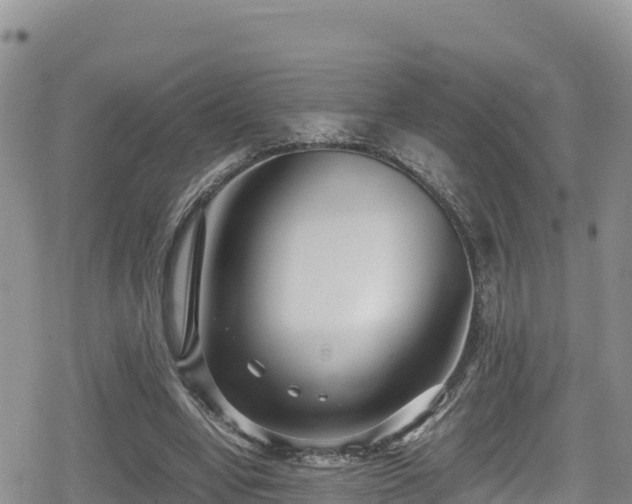 X0000080710442200612221147