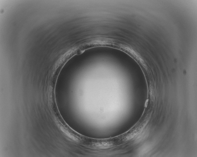 X0000080710445200612221147