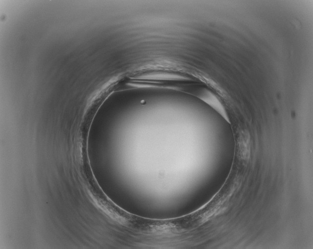 X0000080710446200612221147