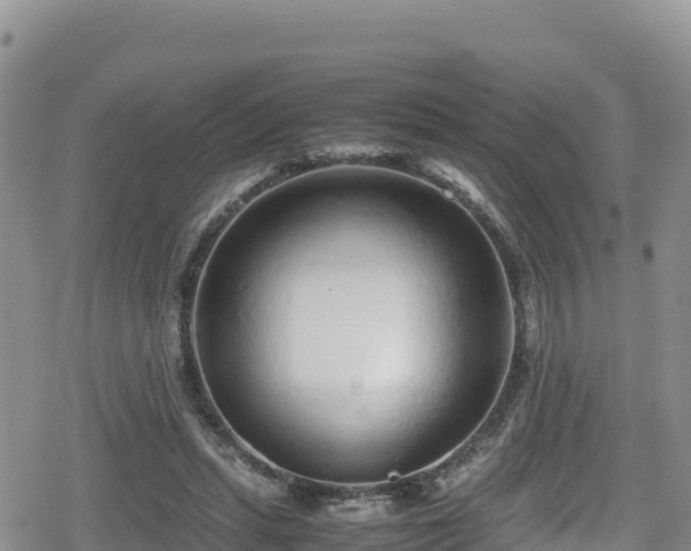 X0000080710447200612221147