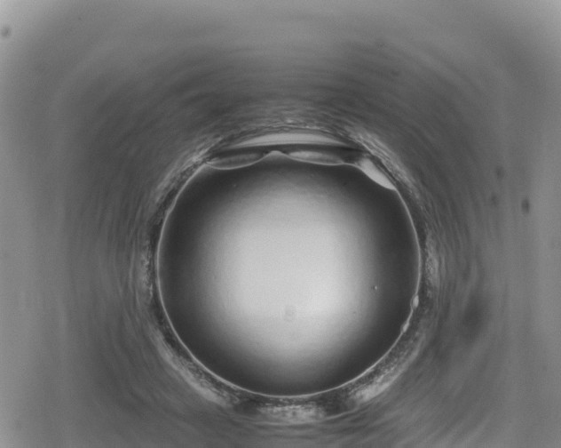 X0000080710449200612221147