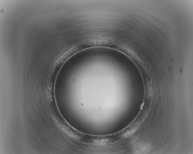 X0000080710450200612221147