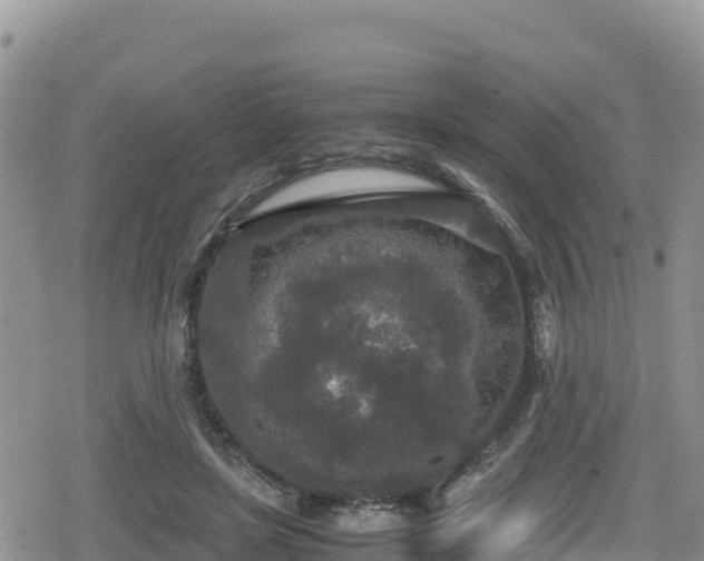 X0000080710451200612221147