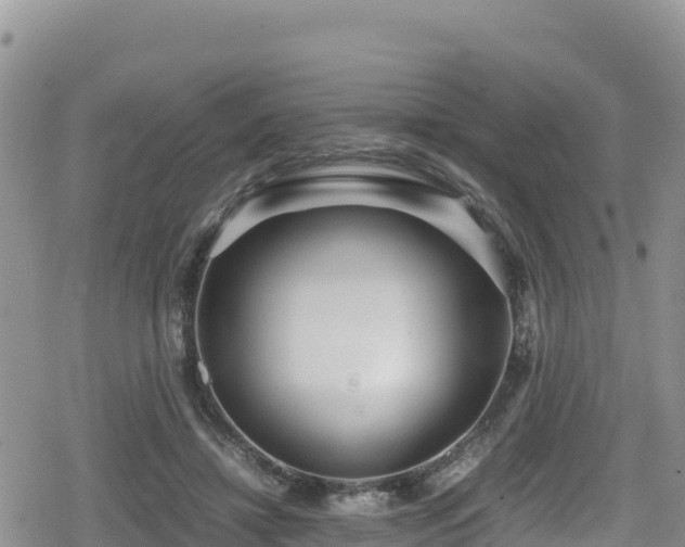 X0000080710452200612221147