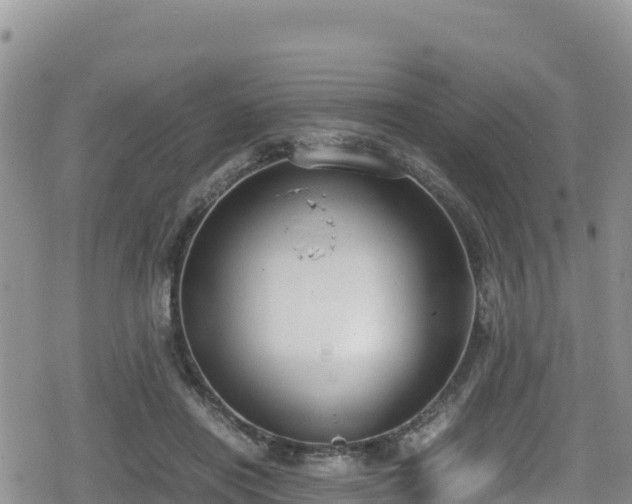 X0000080710454200612221147