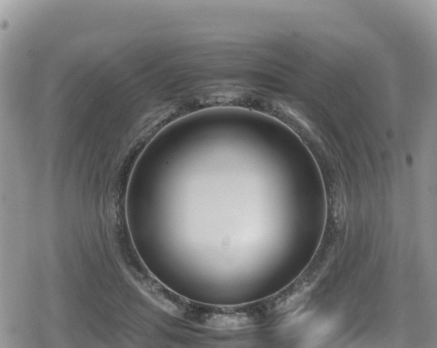 X0000080710455200612221147