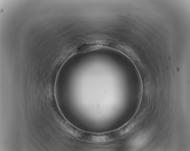 X0000080710457200612221147