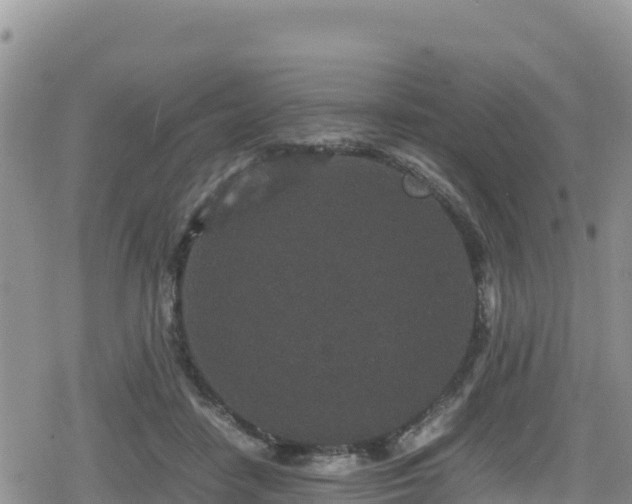 X0000080710458200612221147