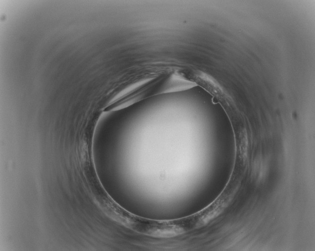 X0000080710459200612221147