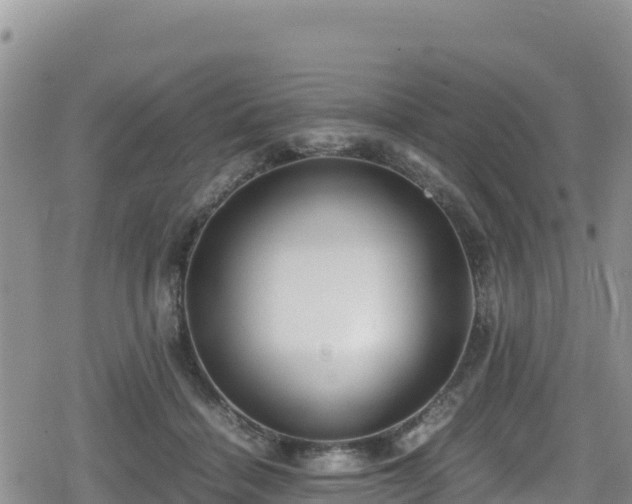 X0000080710460200612221147