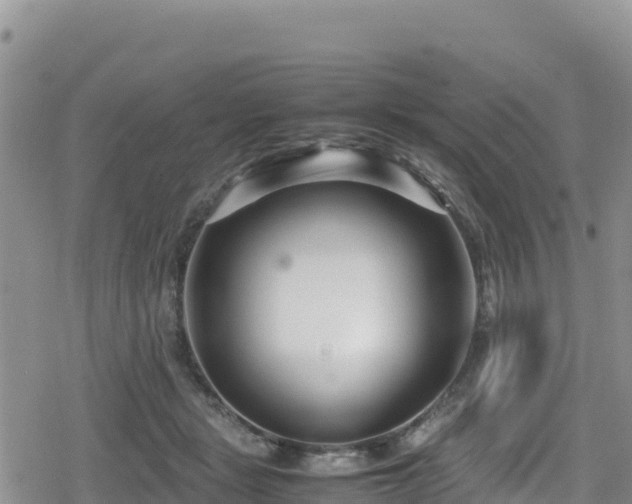 X0000080710461200612221147