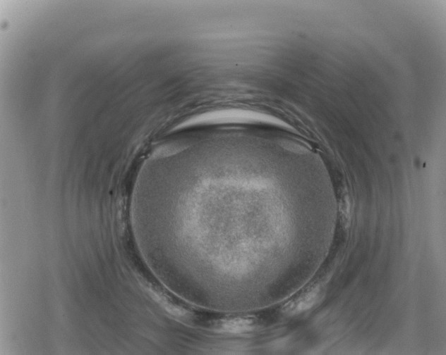 X0000080710462200612221147