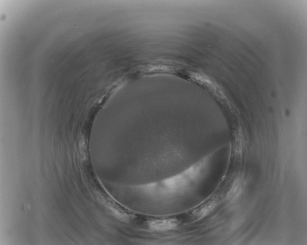 X0000080710465200612221147