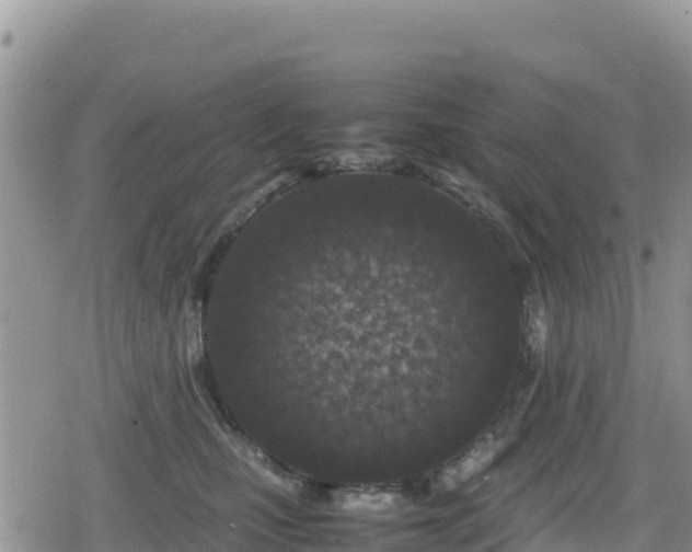 X0000080710471200612221147