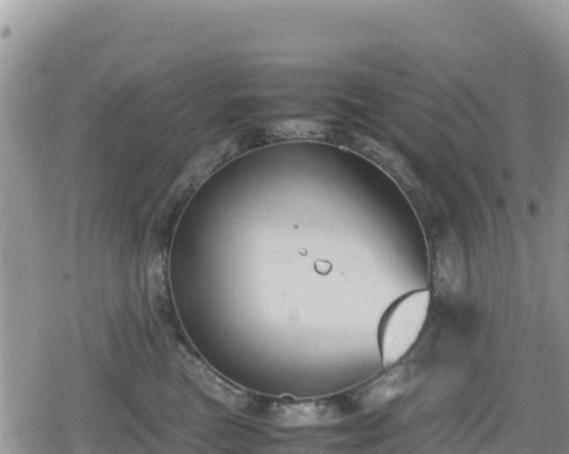 X0000080710473200612221147