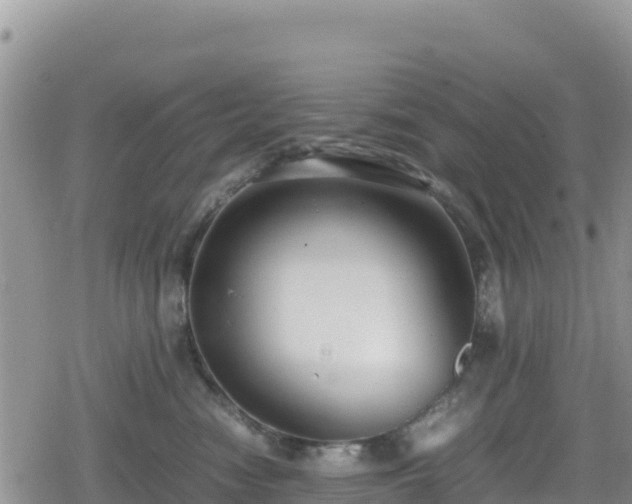 X0000080710474200612221147