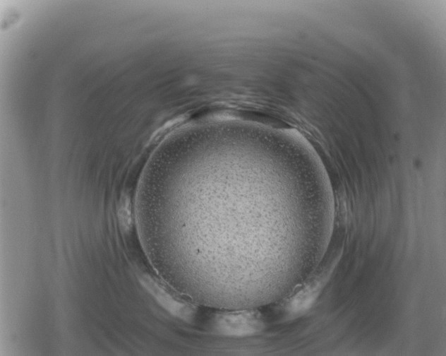 X0000080710479200612221147