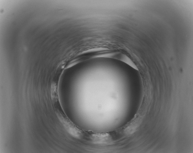 X0000080710480200612221147