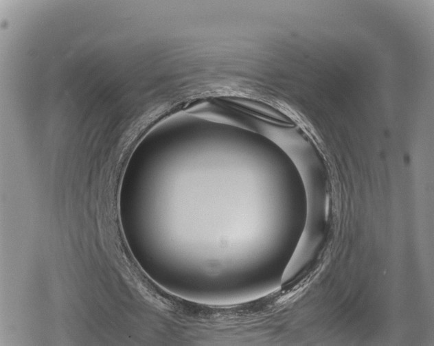 X0000080710481200612221146