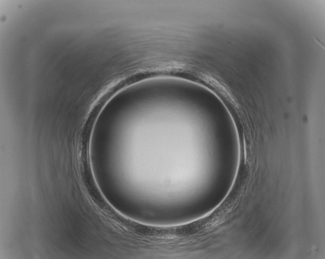 X0000080710483200612221146