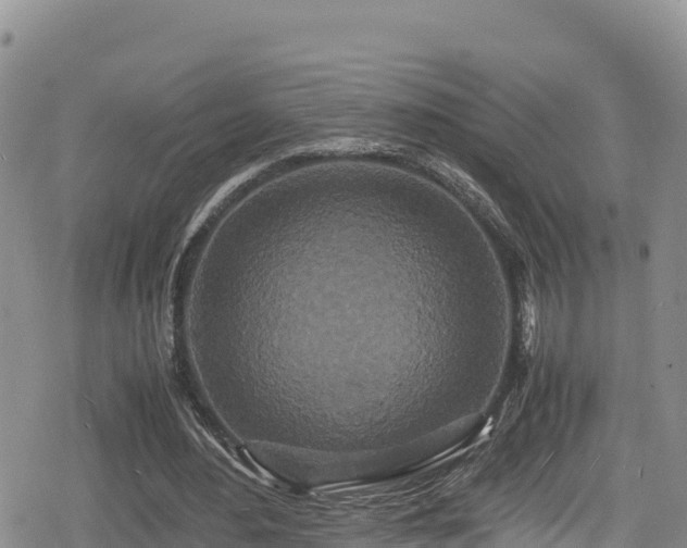 X0000080710484200612221146