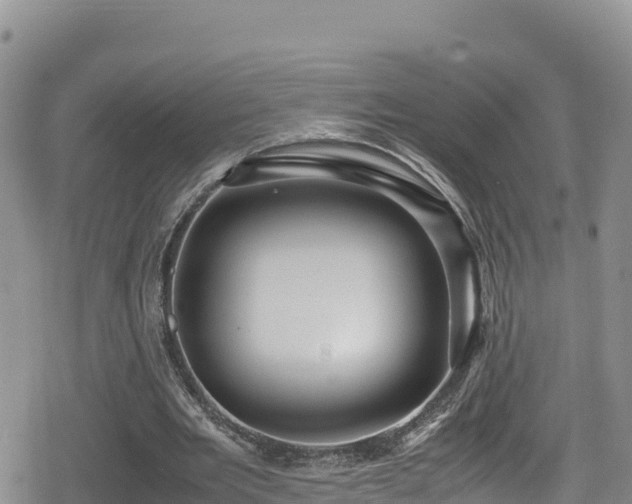 X0000080710485200612221146