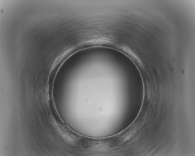 X0000080710486200612221146