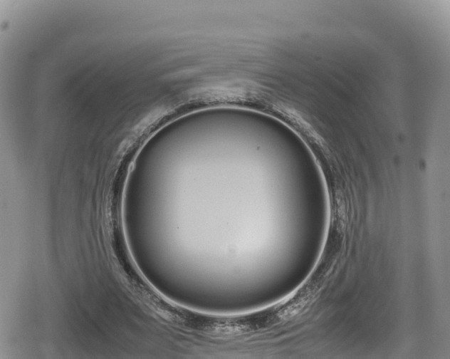 X0000080710487200612221146