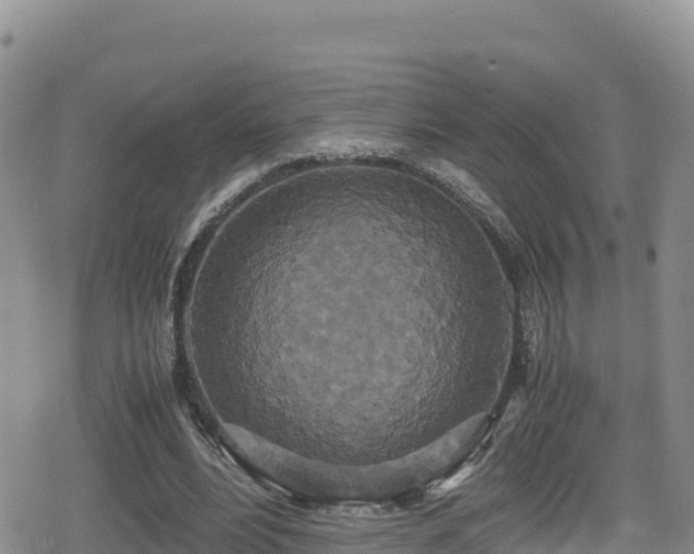 X0000080710488200612221146