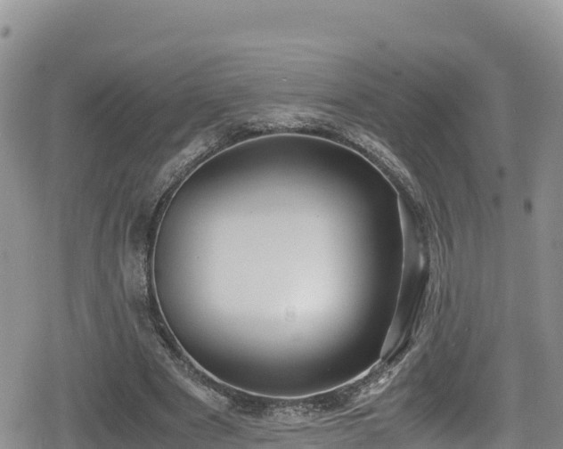 X0000080710489200612221146