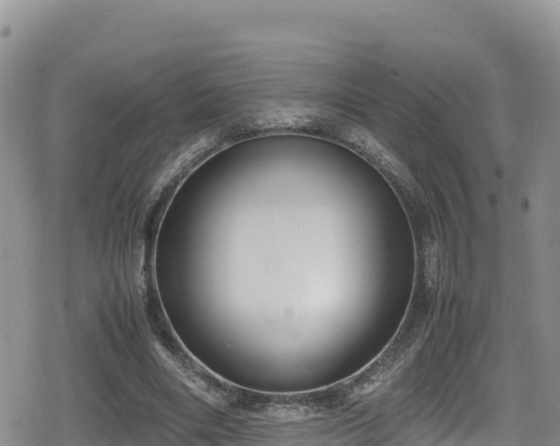 X0000080710490200612221146