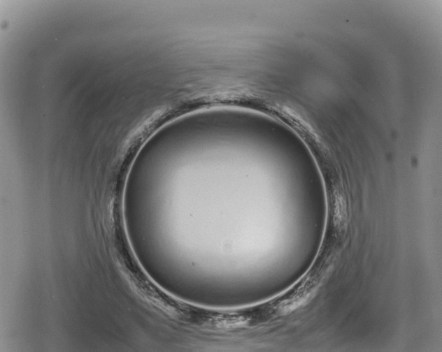 X0000080710491200612221146