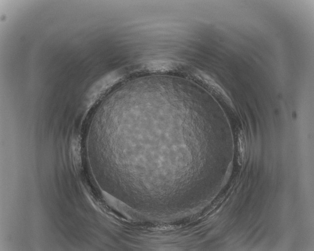 X0000080710492200612221146