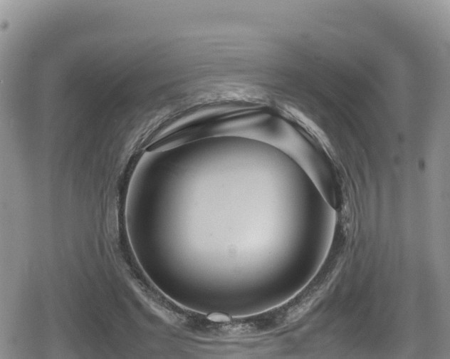 X0000080710493200612221146