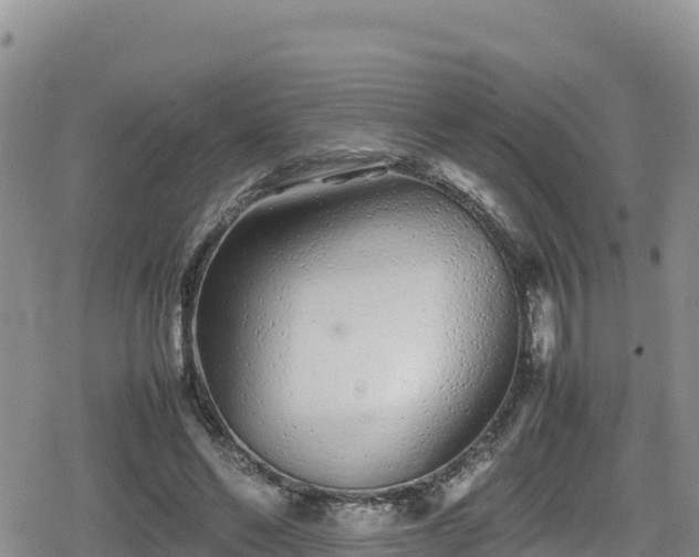 X0000080710494200612221146