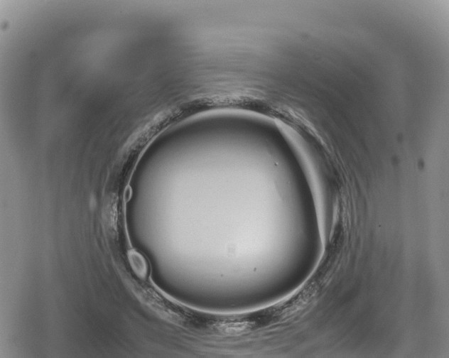 X0000080710495200612221146