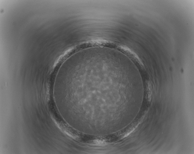 X0000080710496200612221146