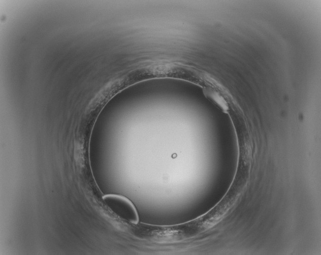 X0000080710497200612221146