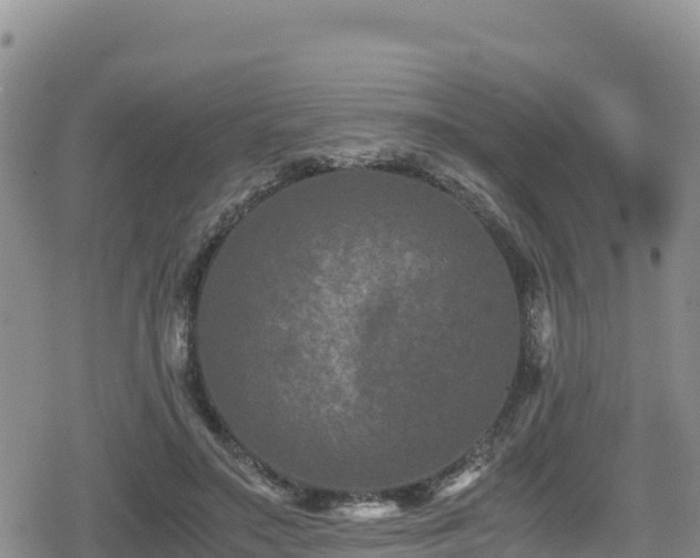 X0000080710499200612221146