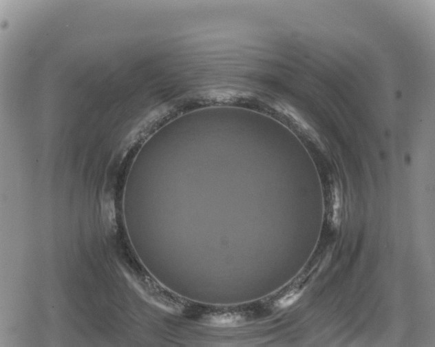 X0000080710500200612221146