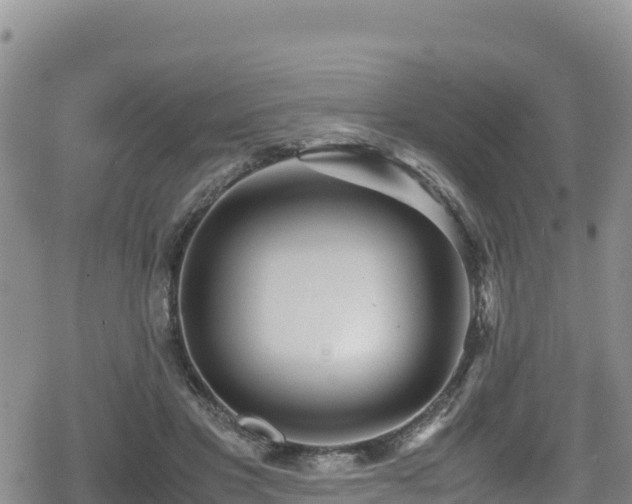 X0000080710501200612221146