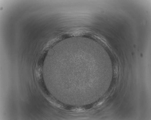 X0000080710503200612221146