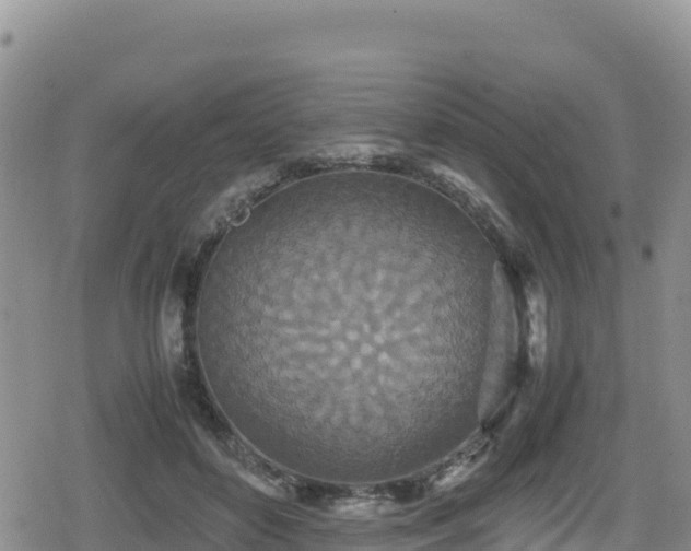 X0000080710504200612221146