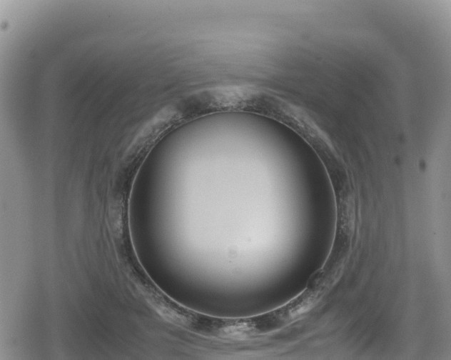 X0000080710505200612221146