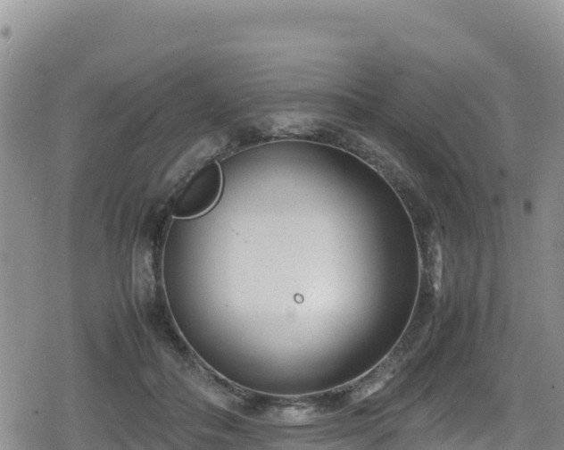 X0000080710506200612221146