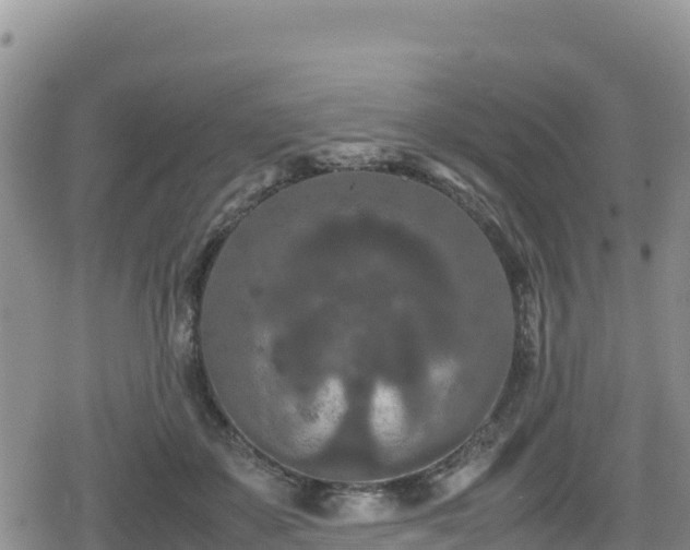 X0000080710507200612221146