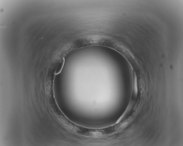 X0000080710509200612221146