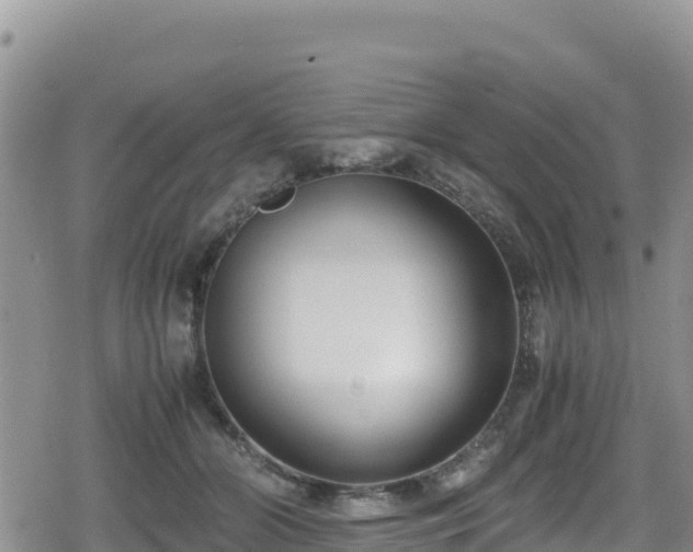 X0000080710510200612221146