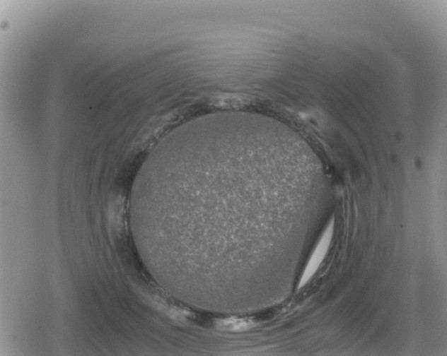 X0000080710511200612221146